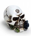 Alchemist Skull - Miniture